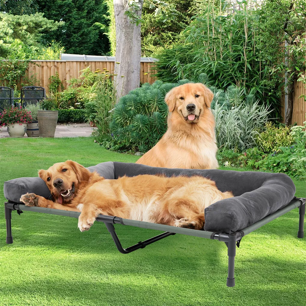سرير كلاب خارجي مرتفع من BINGO - مراجعة Outdoor Camping Dog Bed وسعره