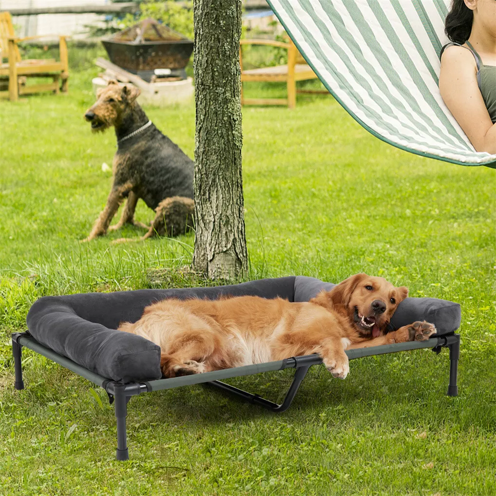 سرير كلاب خارجي مرتفع من BINGO - مراجعة Outdoor Camping Dog Bed وسعره