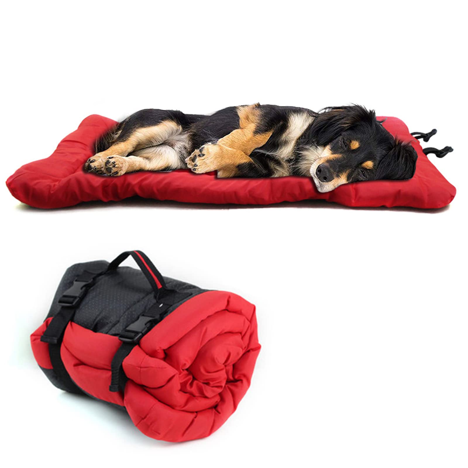 سرير كلاب محمول مقاوم للماء، ف - مراجعة Outdoor Camping Dog Bed وسعره
